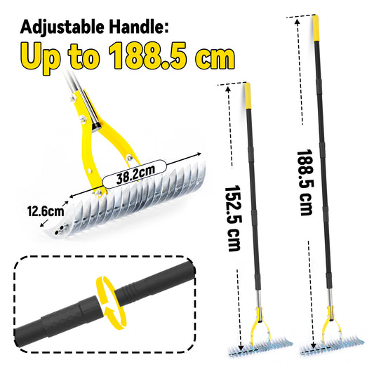 BlumeTrec Thatch Rake for Lawn