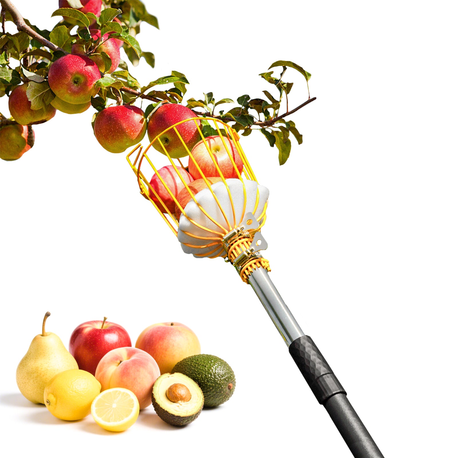 BlumeTrec Fruit Picker, Apple Picker Tool with Adjustable Pole and Basket, Long Reach Mango Grabber Tool, Tree Fruit Catcher for Picking Lemon Pear Orange Avocado Peach Citrus
