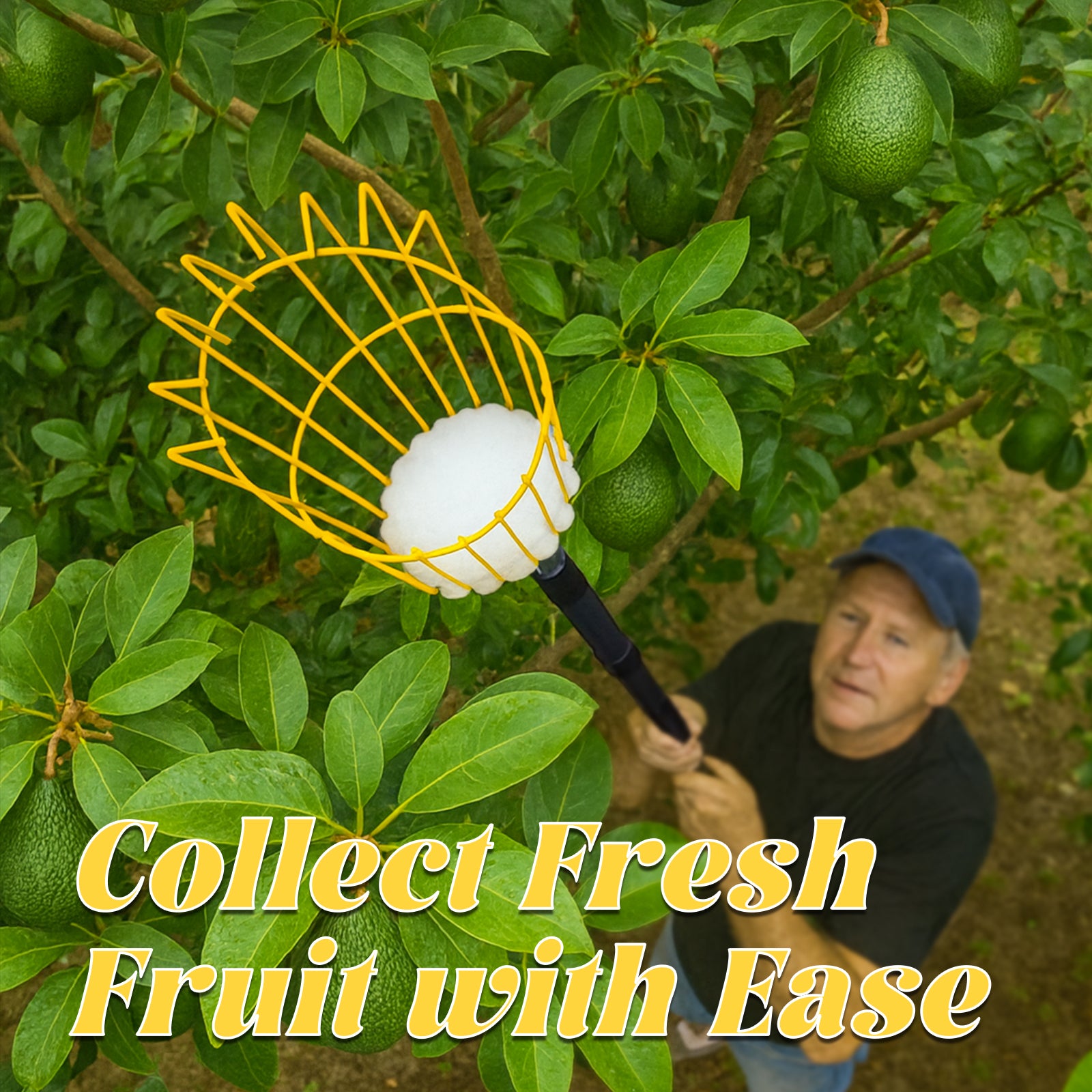 BlumeTrec Fruit Picker, Apple Picker Tool with Adjustable Pole and Basket, Long Reach Mango Grabber Tool, Tree Fruit Catcher for Picking Lemon Pear Orange Avocado Peach Citrus