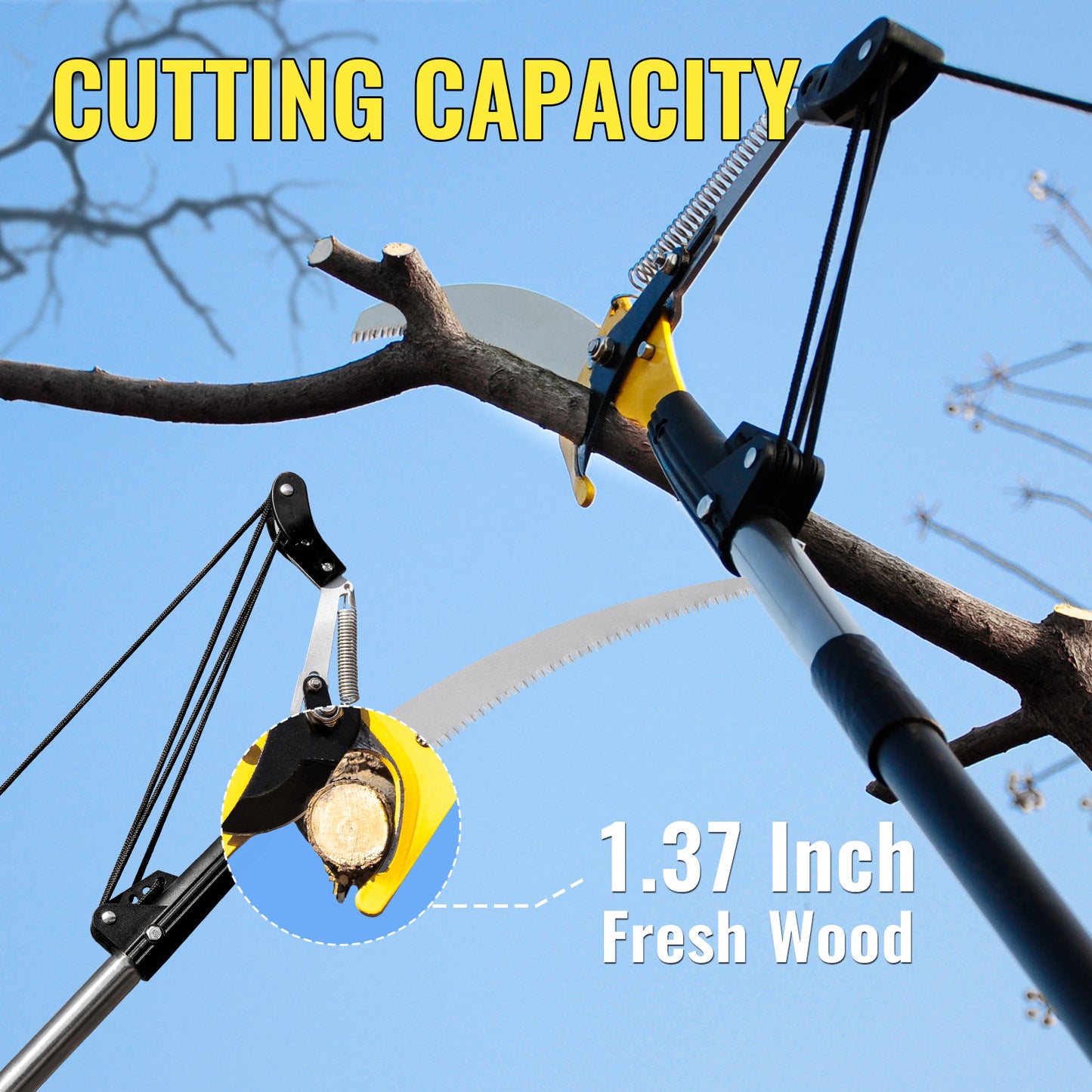 BlumeTrec Pole Saw for Tree Trimming, 2-In-1 Manual Tree Pruner with Saw