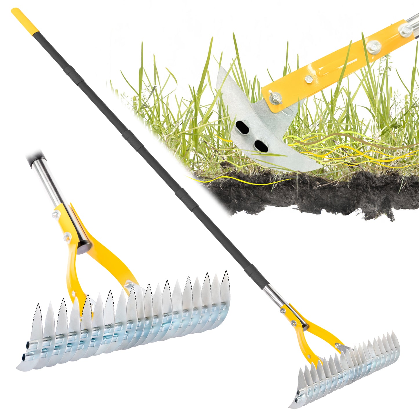 BlumeTrec Thatch Rake for Lawn