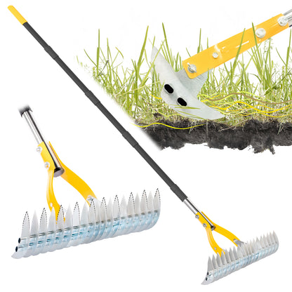 BlumeTrec Thatch Rake for Lawn