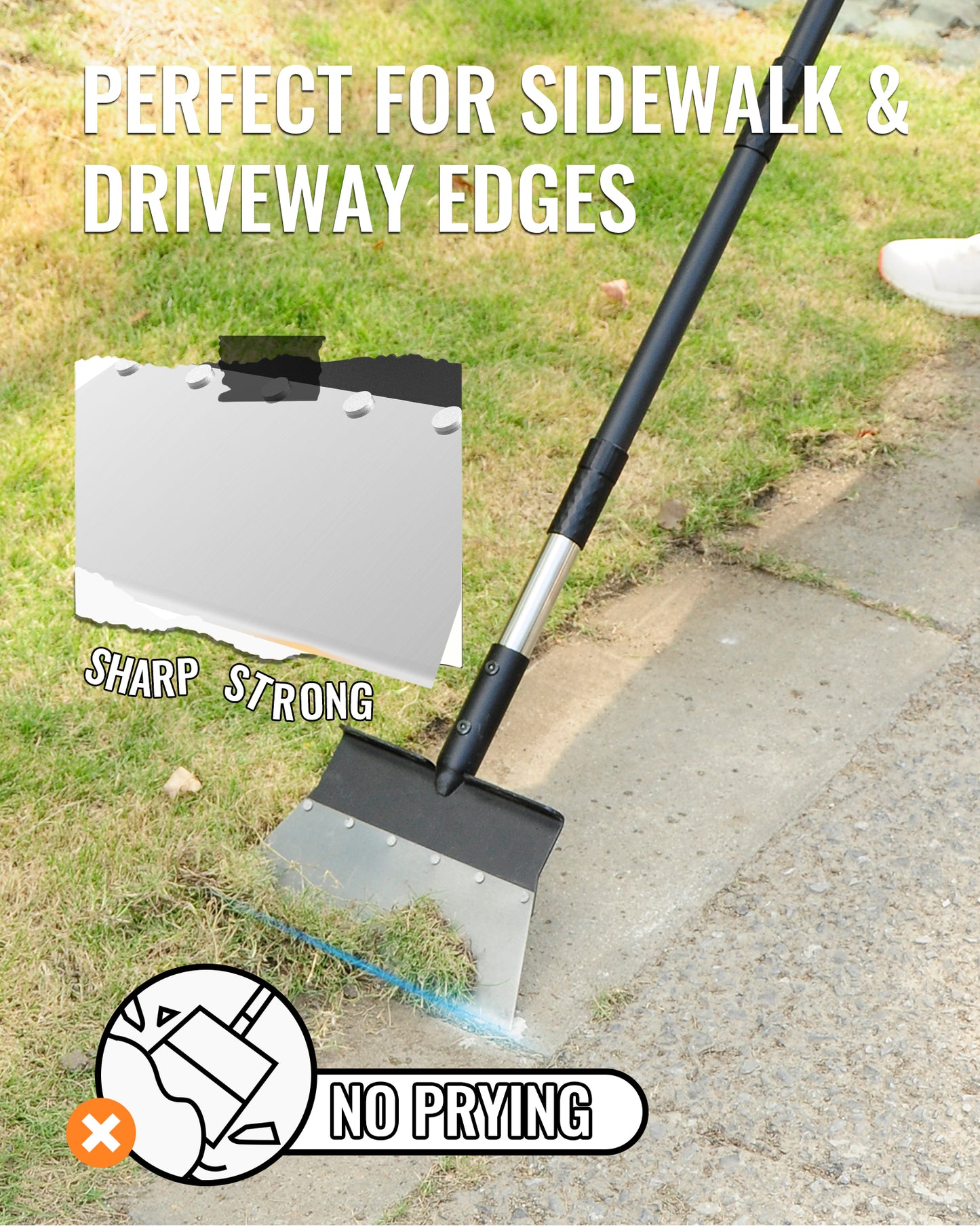 BlumeTrec Multifunctional Cleaning Shovel