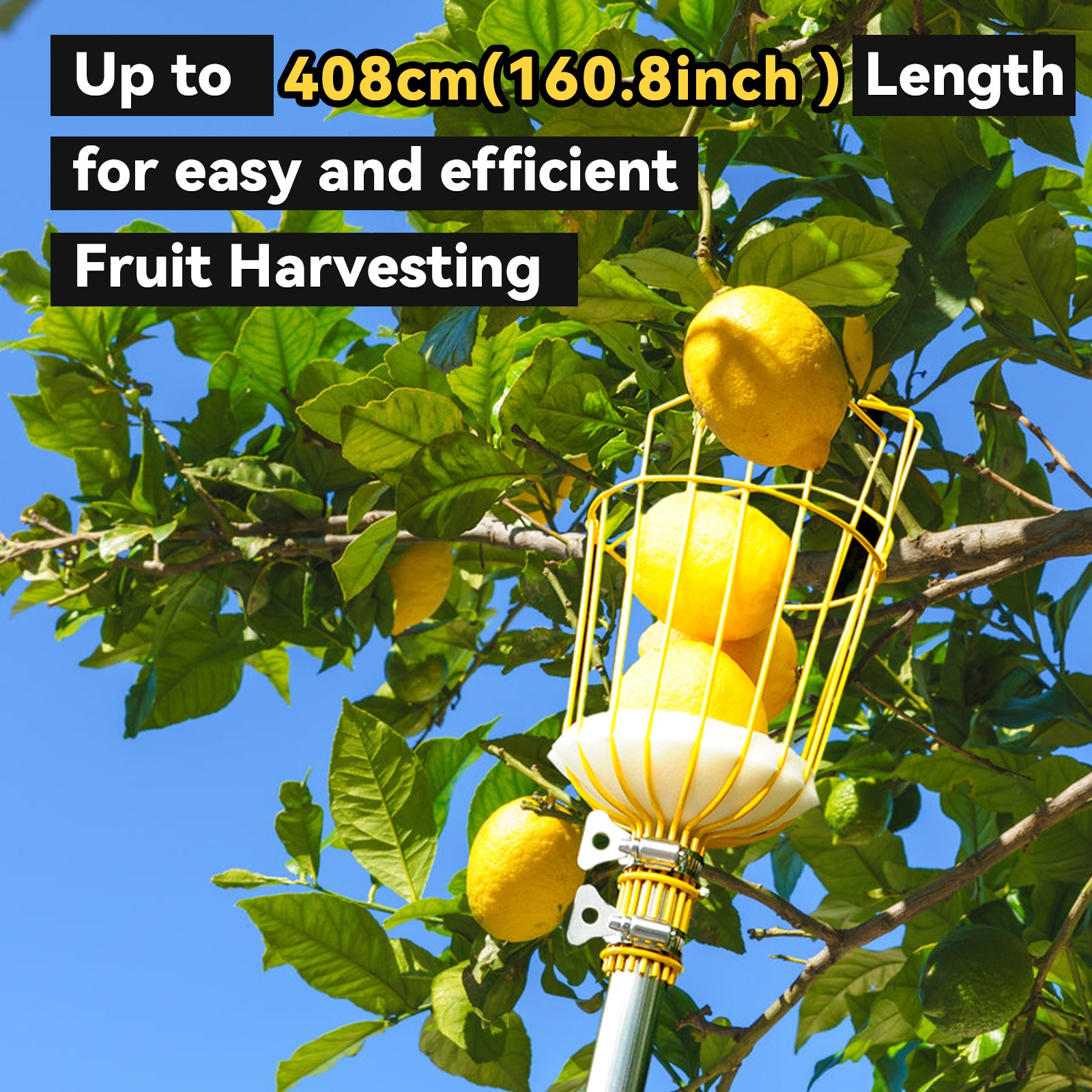 BlumeTrec Fruit Picker, Apple Picker Tool with Adjustable Pole and Basket, Long Reach Mango Grabber Tool, Tree Fruit Catcher for Picking Lemon Pear Orange Avocado Peach Citrus