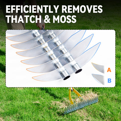 BlumeTrec Thatch Rake for Lawn