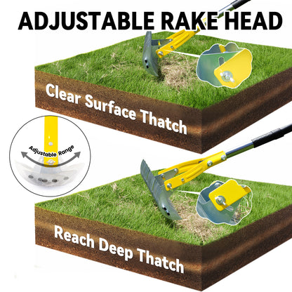 BlumeTrec Thatch Rake for Lawn