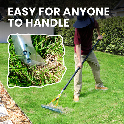 BlumeTrec Thatch Rake for Lawn