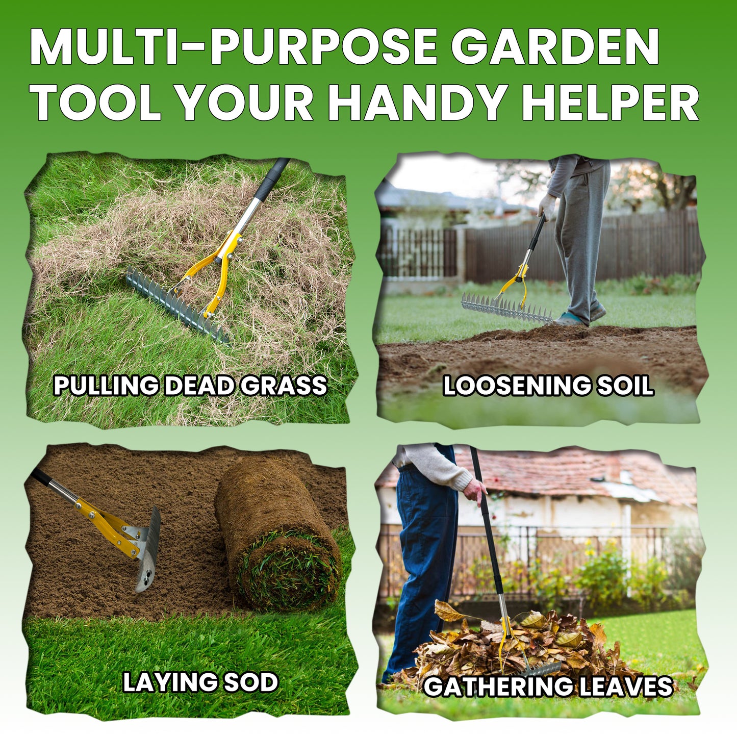 BlumeTrec Thatch Rake for Lawn