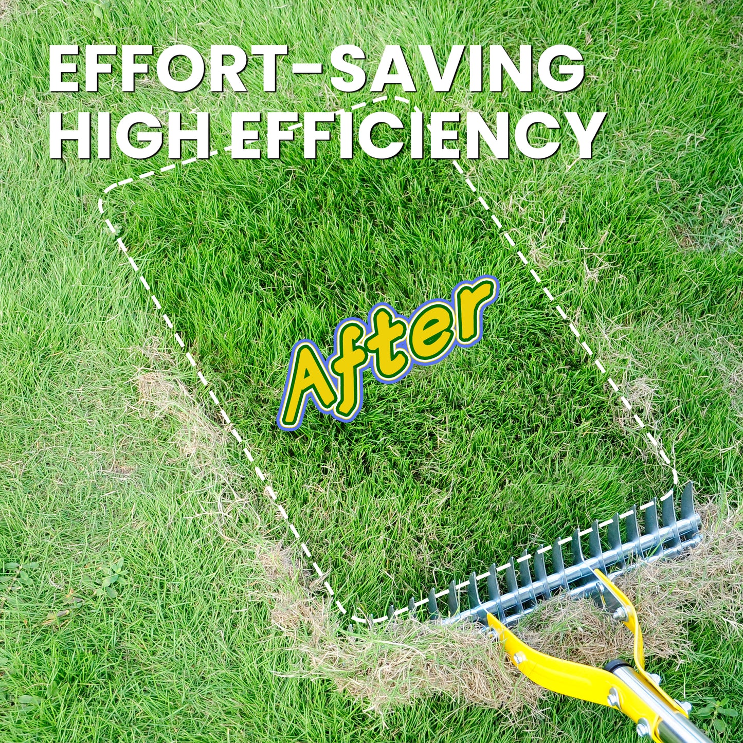 BlumeTrec Thatch Rake for Lawn